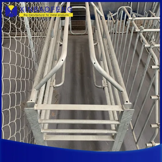 Pig Raising Equipment Made in China, Animal Husbandry Equipment, Pig Gestation Crate