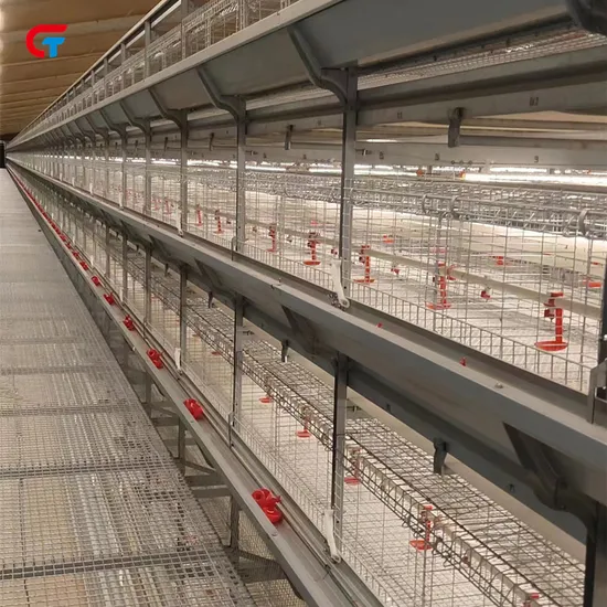 Factory Made Good Quality Poultry Farming Cage for Chicken Equipment