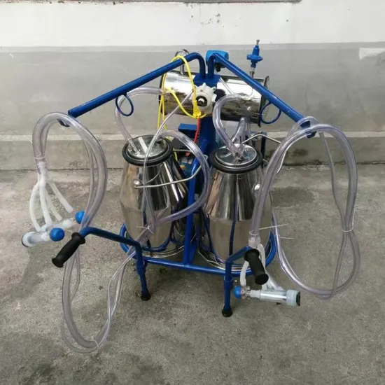 Hot Selling Automatic Cow/Goat Milking High Productivity Farmer Use Stainless Steel Bucket Machine