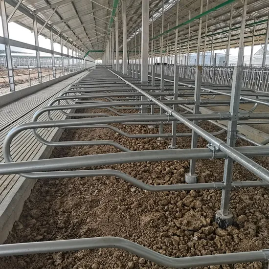 Safe Galvanized Livestock Machinery Agricultural Machinery Cattle Sheds