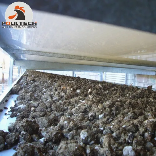 Chicken Manure Treatment - Manure Drying Equipment with 100 Tons Manure/Day