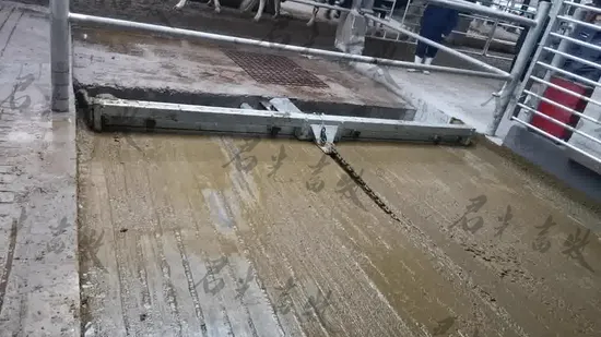 Selling Corrosion-Resistant Manure Scraper Machines for Livestock