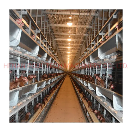 Efficient Automatic Hot Galvanized Battery Chicken Cages for Hens