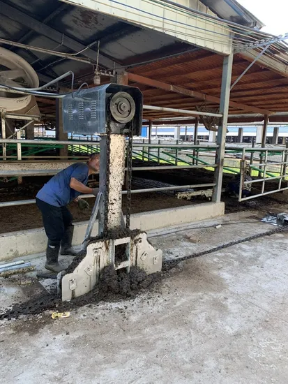 Hot DIP Galvanized Durable Automatic Manure Scraper for Cattle Farms
