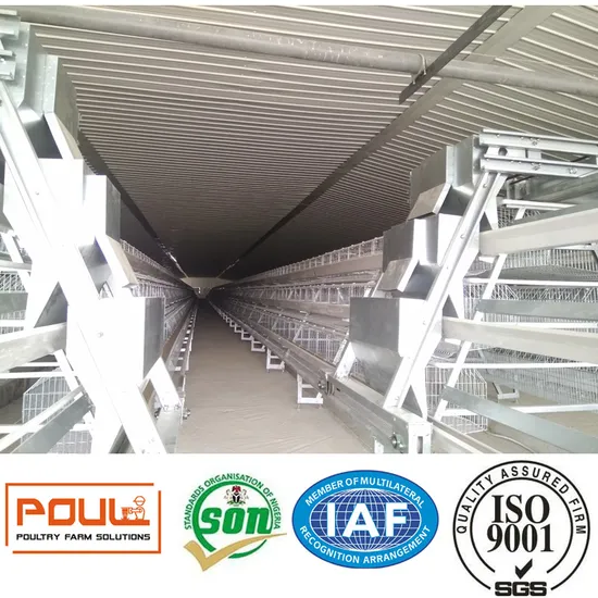 Galvanized Poultry Farm Layer Chicken Cage Equipment