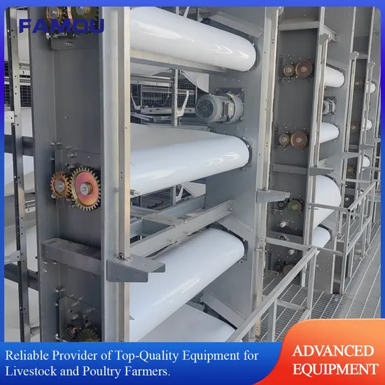 Easy Operation Layer Chicken Cage System for Commercial Poultry Supplies