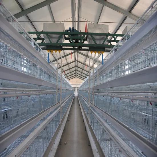 China Customized Poultry Battery Cage Automatic System Chicken Coop