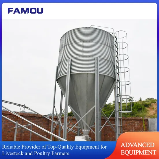 Automated Chicken Feed Silo Poultry Feeding Line for Layer Chicken Farming System