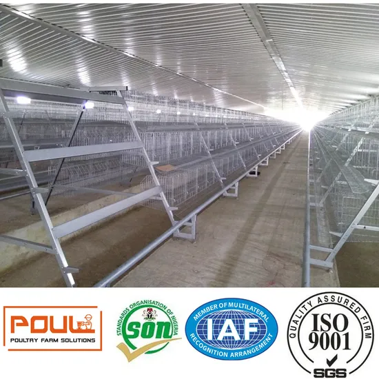 Hot Glavanized Layer Farm Cages