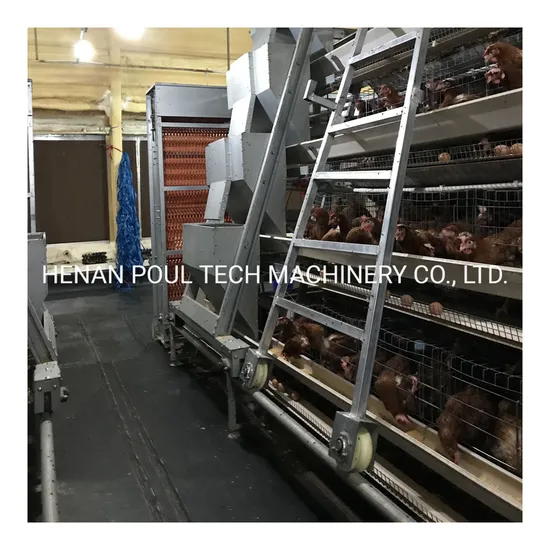 Price Egg Chicken Automatic Broiler Battery Chicken Layer Cage for Sale