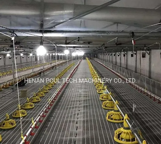 Automatic Livestock Feeding and Drinking Machinery