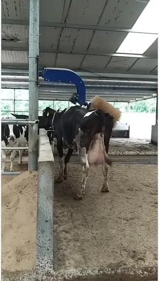 Electric Cattle Body Brush Auto Swinging Cattle Scratching Body Brush