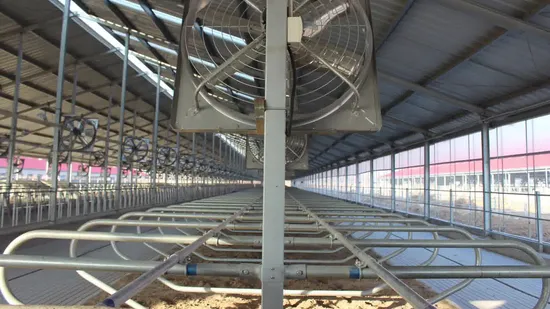 Galvanized Livestock Machinery Agricultural Machinery Cow Cubicle