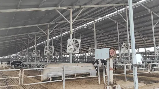 Agricultural Equipment High Volume Large Air Flow Ventilation Fan