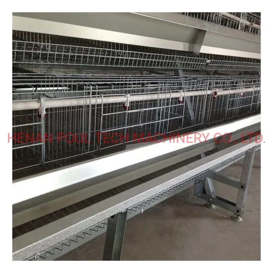 a Type Stable Automatic Chicken Cage Equipment