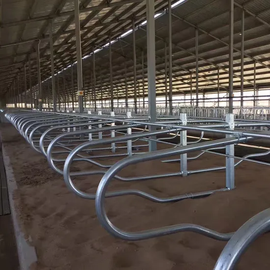 Comfortable Cow Free Stalls for Dairy Farm Equipment