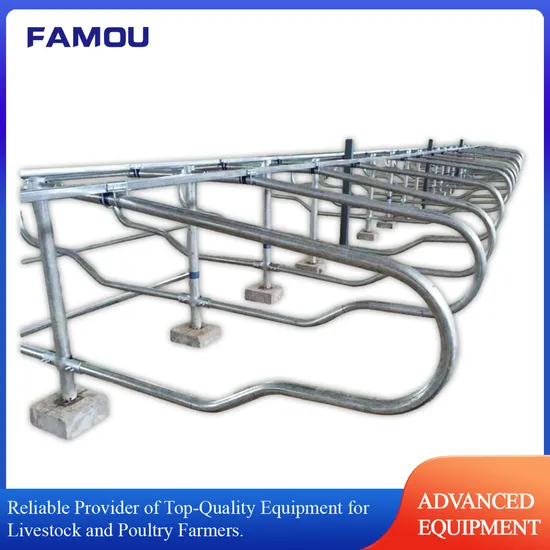 Customized Galvanized Steel Cattle Yard Equipment Cow Free Stall for Dairy Farm