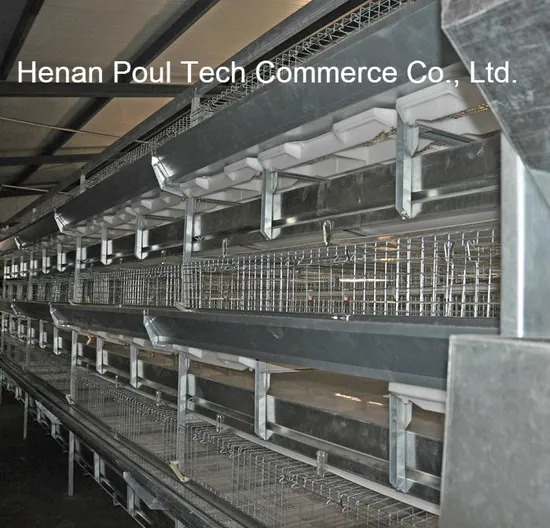 Automatic Battery Layer Cage for Poultry Farm on Sale