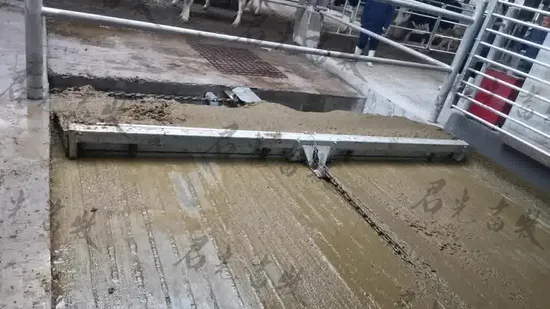 Hot-DIP Galvanized Manure Scraper for Dairy Cattle, Beef Cattle, Sheep and Other Farms
