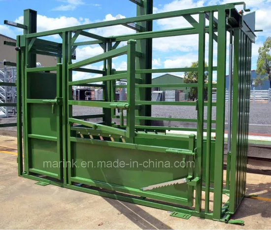 Cattle Split Gates Both Sides