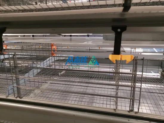 Layers Chicken Coop for Africa Battery Cage Poultry Farming Design Egg Chicken Cage Price