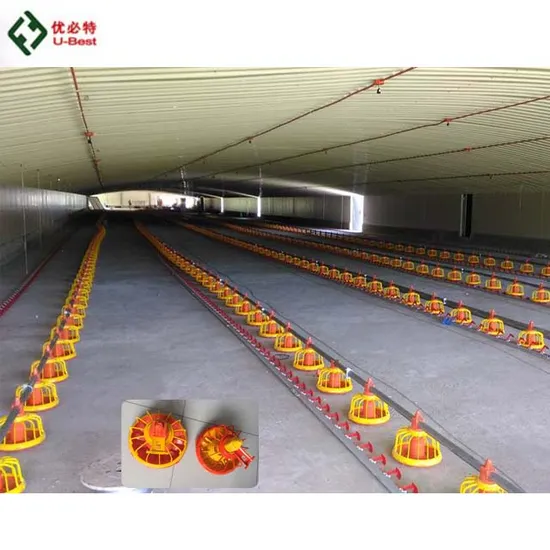 Hot Sale Poultry Equipment of Meat Chicken Broiler in Pakistan Farm