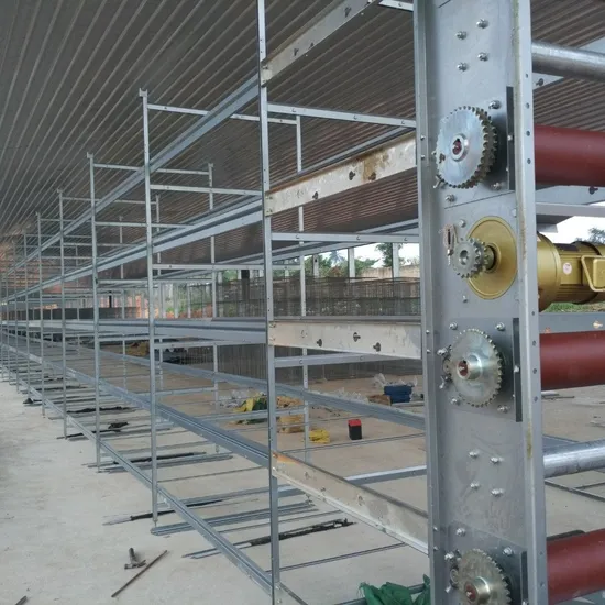 30, 000 Layer Egg Hen Broiler Pullet Chicken Cage Poultry Equipment