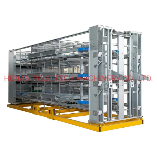 H Type Chicken Cage Farm Equipment