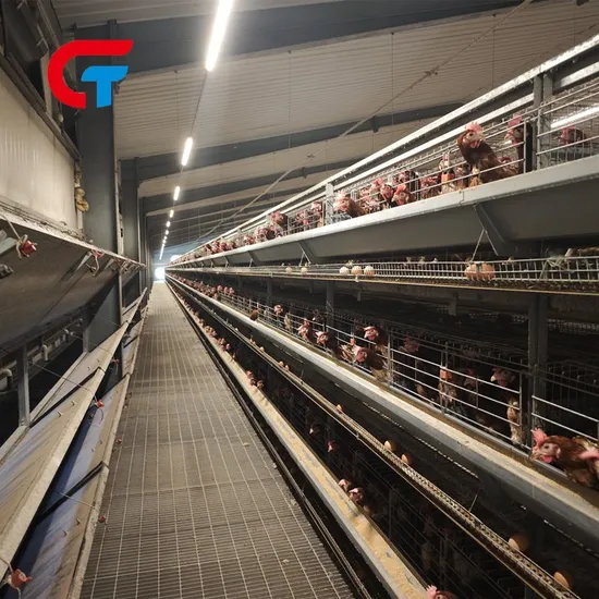 China High Technology Multi Tiers Automatic Farming Chicken Egg Production Equipment