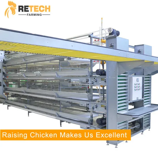 Design Automatic Poultry Cage Layer Chicken Raising Equipment