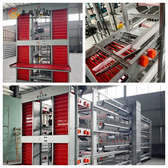 Chicken Cage System of H Type Layer Cage System for Sale