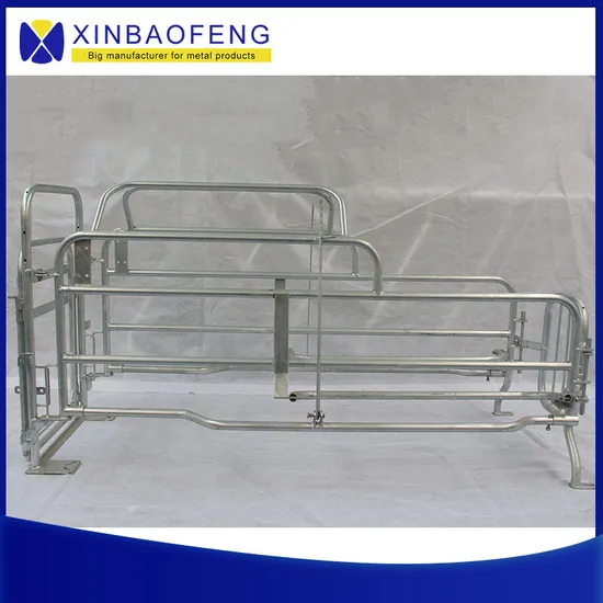 Factory Direct Galvanized Farm Equipment Pig Farrowing Box Manufacturer