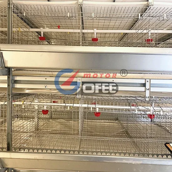 H Type Automatic Broiler Layer Chicken Breeding Feeding Equipment Cages Husbandry Drinking Line Electric
