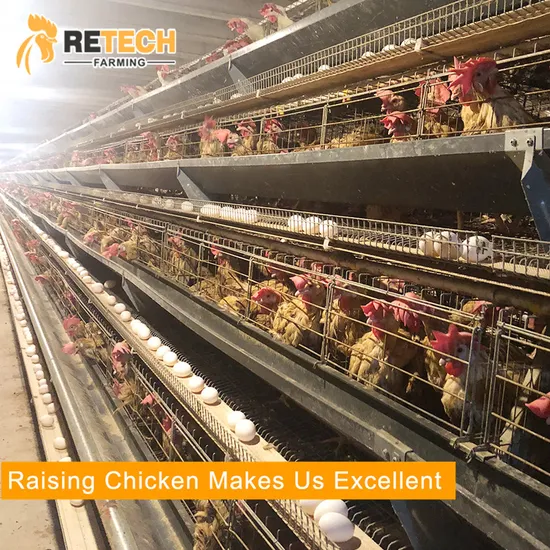 Poultry Equipment A Frame Chicken Cage for sale in Philipinas