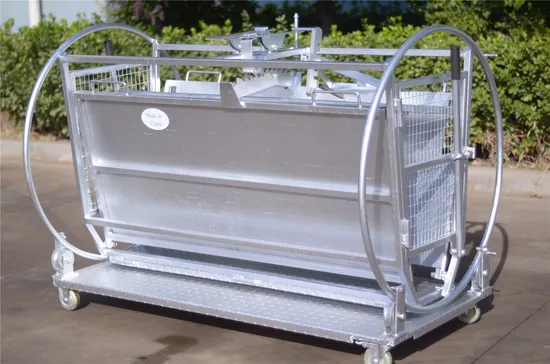 Sheep Hoof Trimming Chute Sheep Hoof Repair Machine with Cheap Price