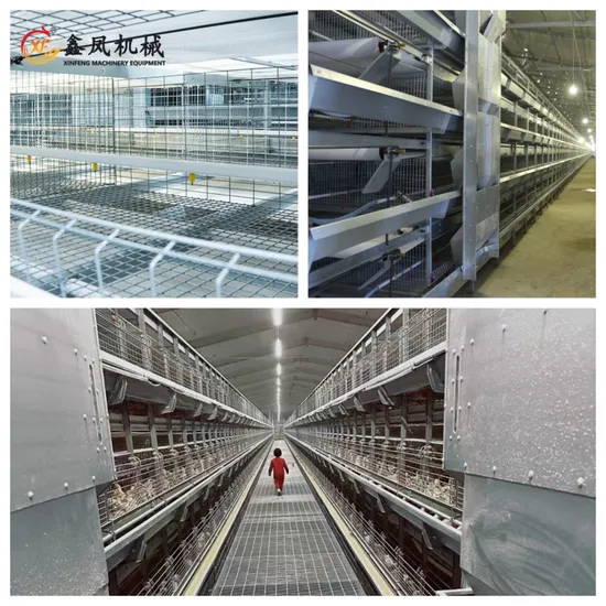 H Type Baby Chicks Brooding Pullet Battery Cages with Drinking Water Equipment