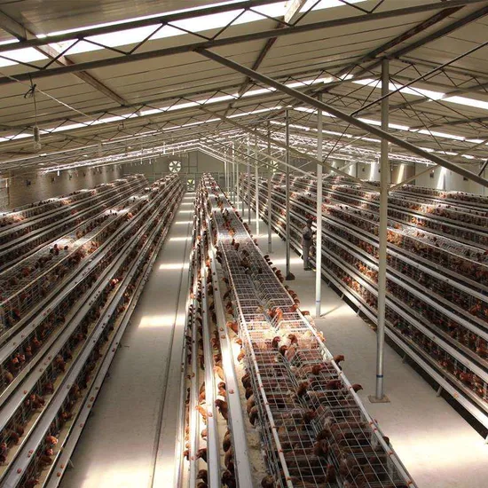 Battery Layer Chicken Cage