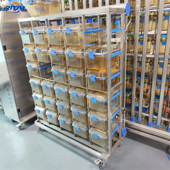 Factory Ivc Mouse Cage System Lab Cage System PP Ivc Cages for Lab Use