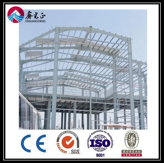 Steel Structure Poultry House/Chickend Farm/ Chicken House (BYPH-22052003)