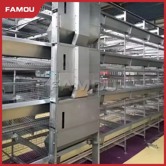 Famou Broiler Farm Equipment Automatic Cleaning Function H Type Chicken Raising Automatic Feeding System
