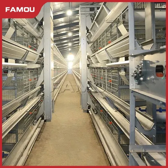 Famou Poultry Farming Equipment Long Life H Type Poultry Silo Feeding System