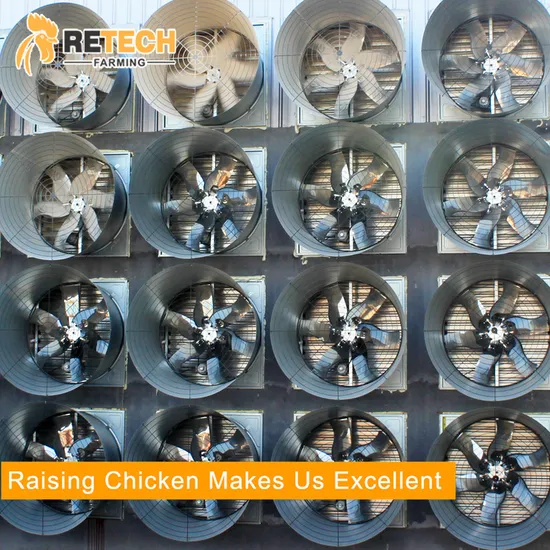 Chicken poultry farms cooling exhaust fan