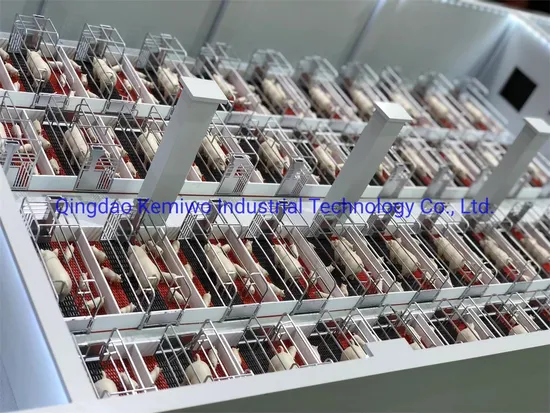 Galvanized Pig Swine Sow Gestation Pig Crate