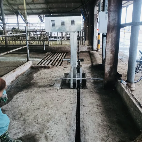 Ranch High Quality Cattle Farm Manure Scraper Dairy Farm