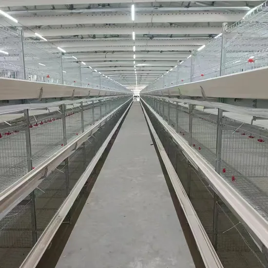 Chinese Factory Supplies H-Type Hot-DIP Galvanized Broiler Chicken Cages to Nigerian Farms