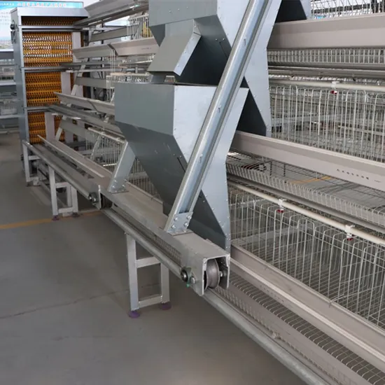Poultry Farming Equipment Automated Layer Cage with Egg Collecting System