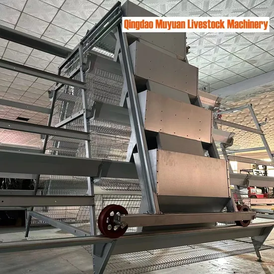 a Frame Laying Hens Automatic Feeding Equipment for Poultry Farm