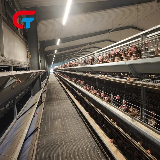High Quality Factory Price Egg Layer Chicken Cage for Sell