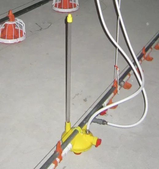 Modern Customized Poultry Farm with Equipments for Broiler Chickens