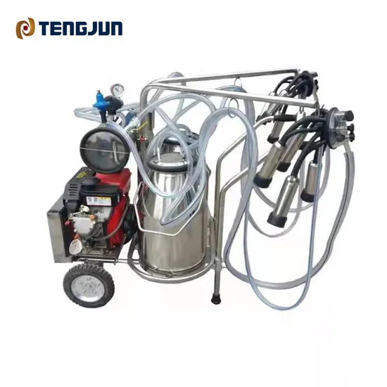 High Quality Vacuum Pump Typed SS304 Single Bucket Milking Machine Yz-II Shape